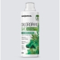 Антиоксидант ENDORPHIN Chlorophyll Bio 500 мл